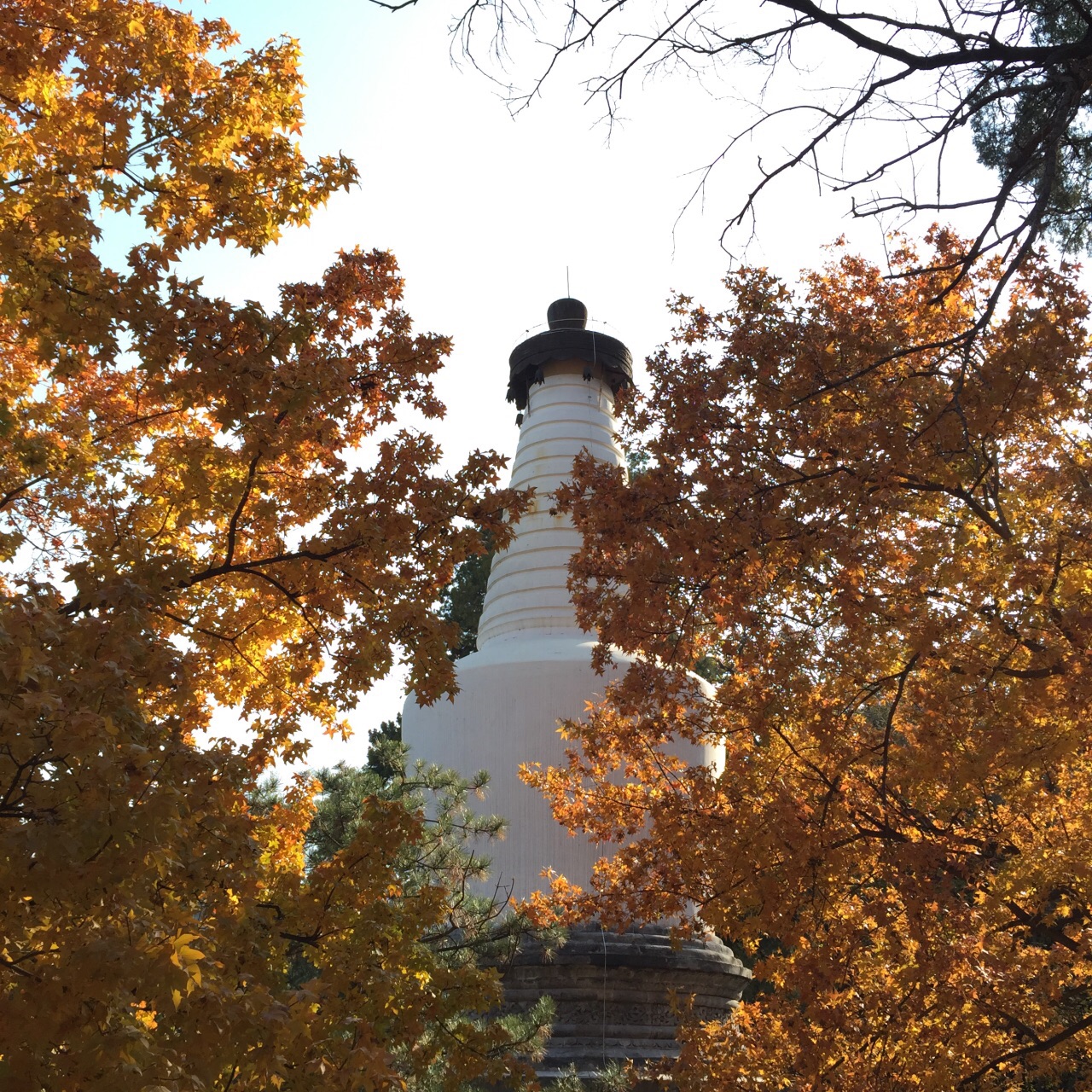 【携程攻略】北京大觉寺景点,位于海淀区苏家屯附近,自从北清路修好