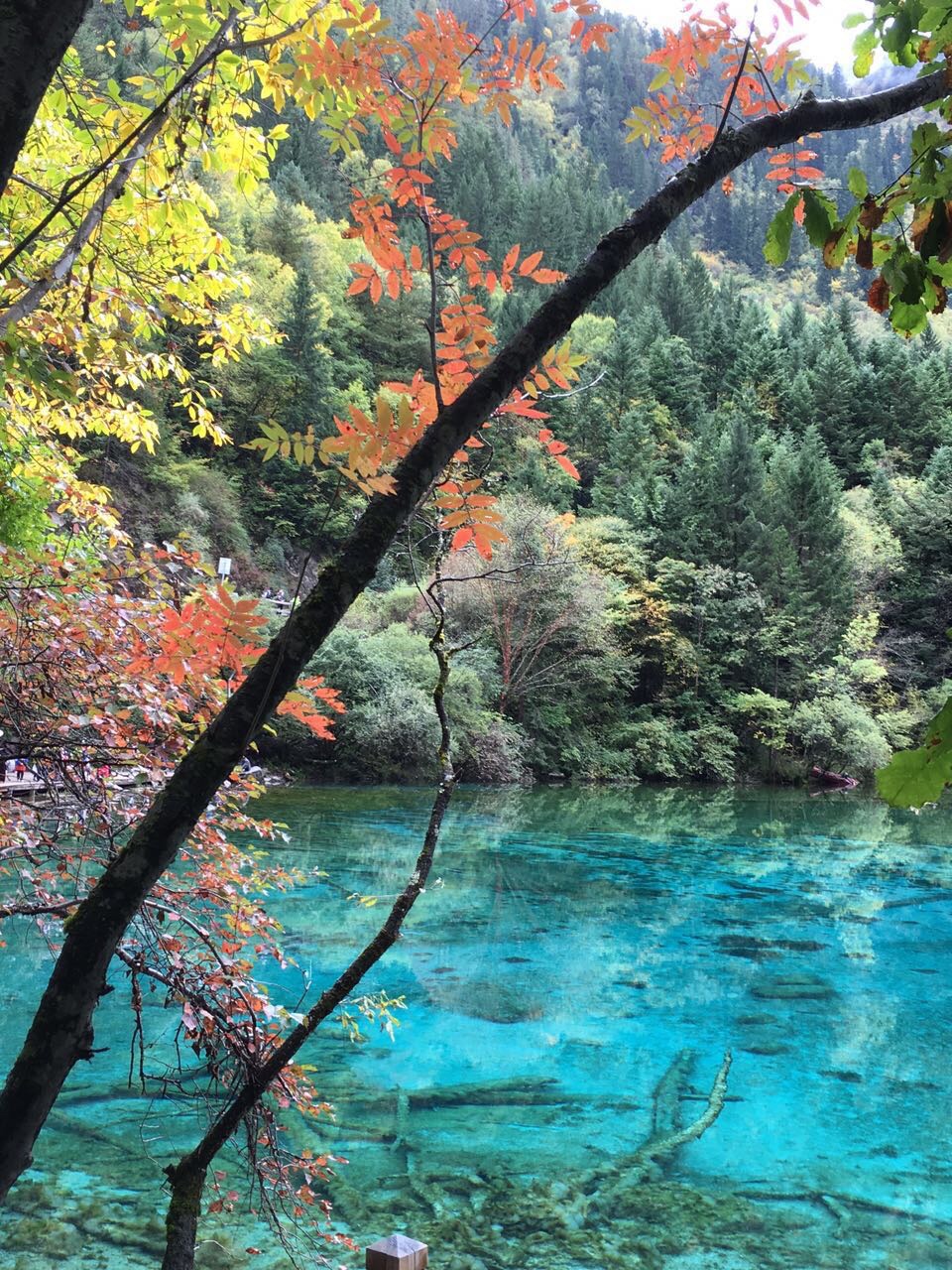 九寨溝風景區