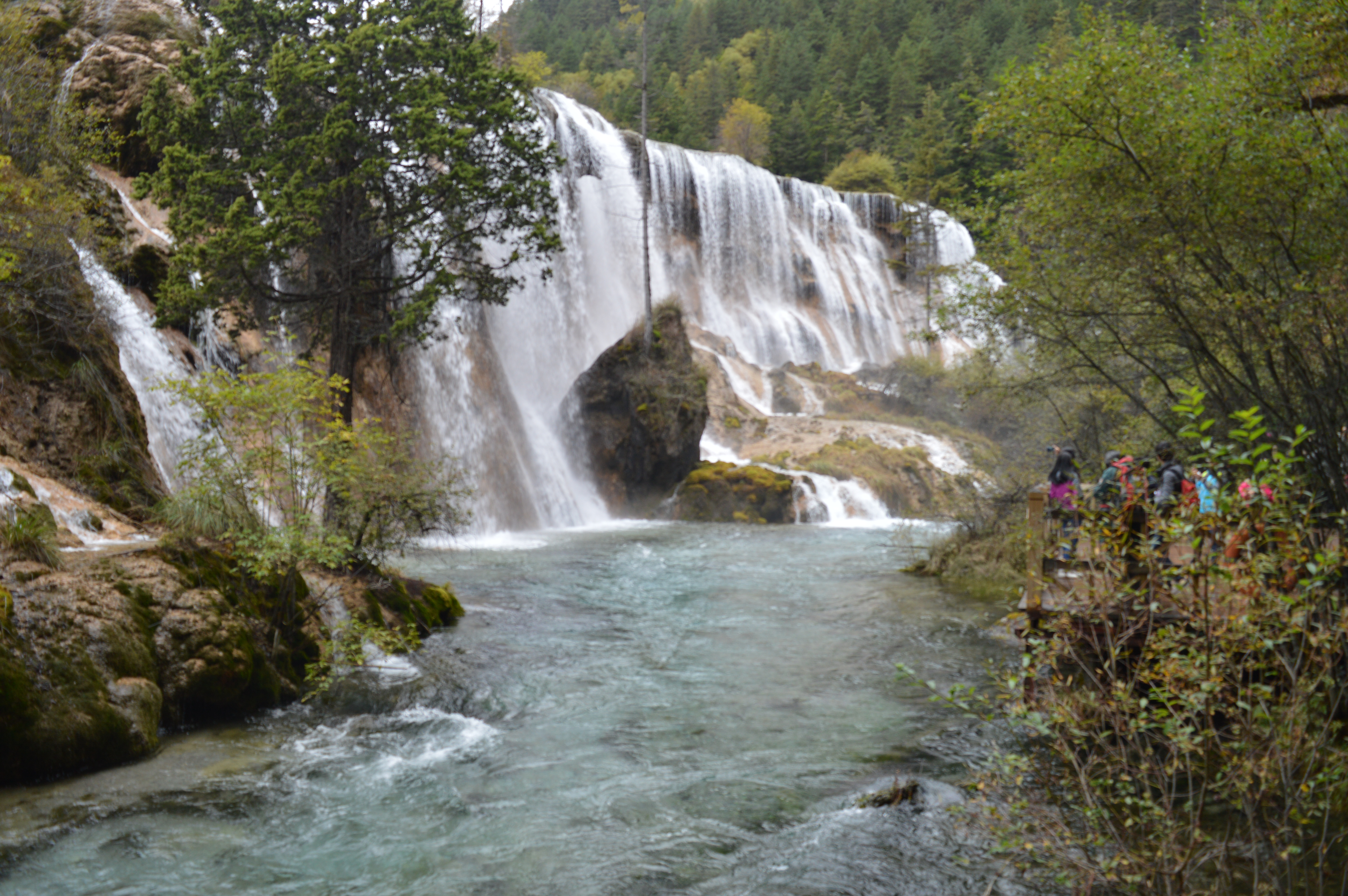 2019諾日朗瀑布_旅遊攻略_門票_地址_遊記點評,九寨溝旅遊景點推薦