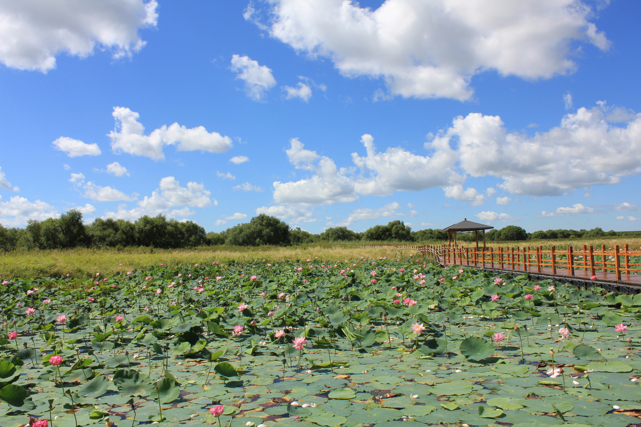 佳木斯黑瞎子岛好玩吗,佳木斯黑瞎子岛景点怎么样_点评_评价【携程