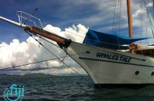 #向往的生活 鲜有国人尝试的斐济近海巡游