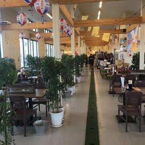 22木更津市旅游攻略 4月木更津市 Kisarazu 凯塞 自助游 自驾 出游 自由行 游玩攻略 携程攻略