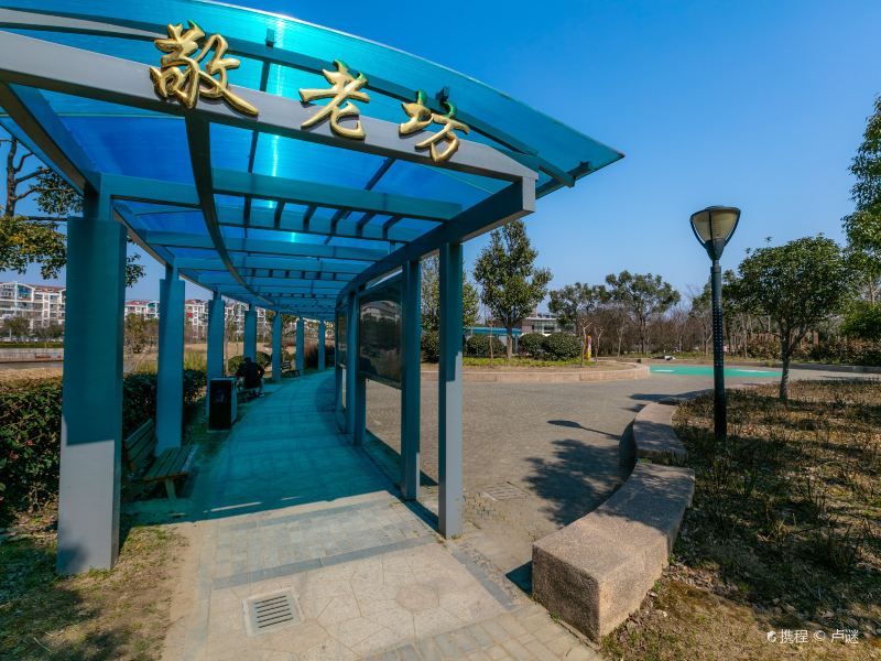 张衡公园门票价格多少钱-团购票价预定优惠-景点地址图片-【携程攻略