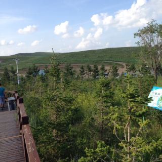 绿荫广场   分 29条点评 景点 广场 建筑人文 距玩乐527m 免费