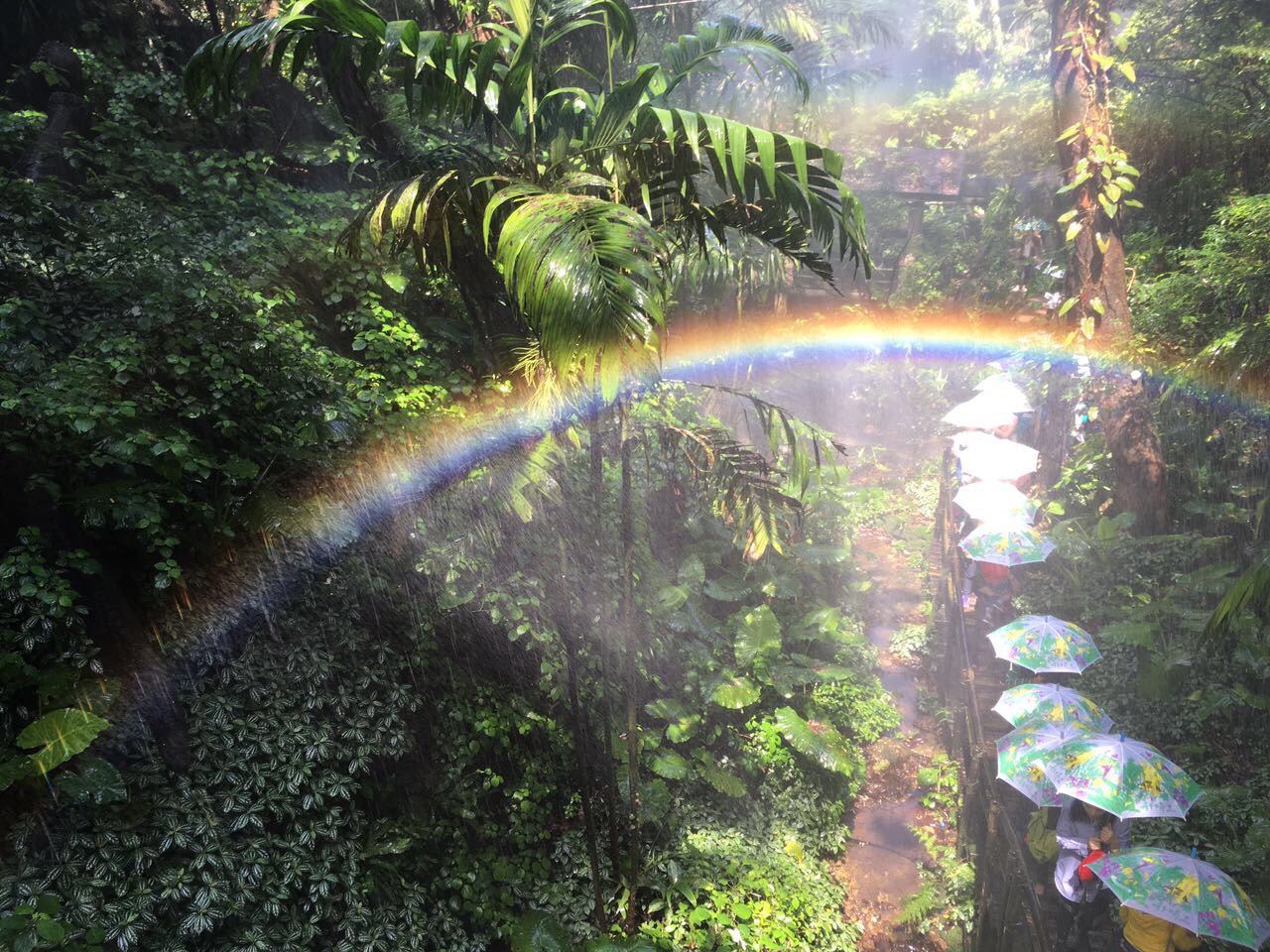 青青世界团购(青青世界门票包括什么项目)