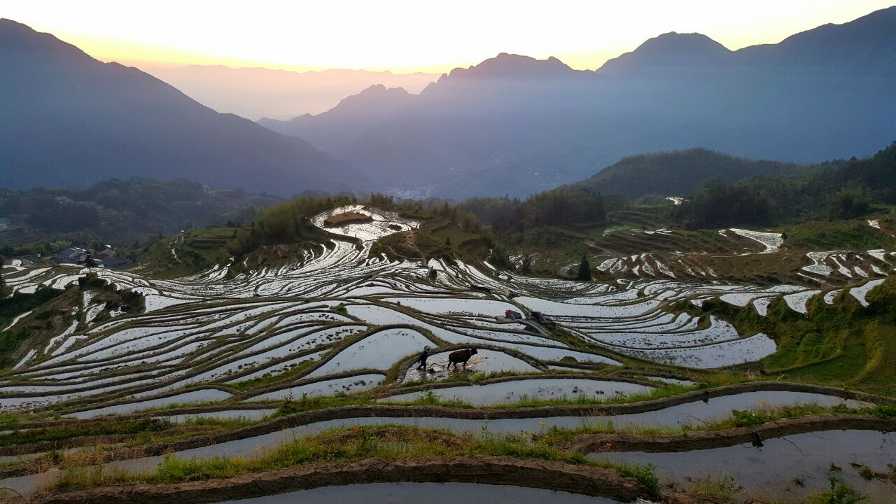 雲和梯田景區