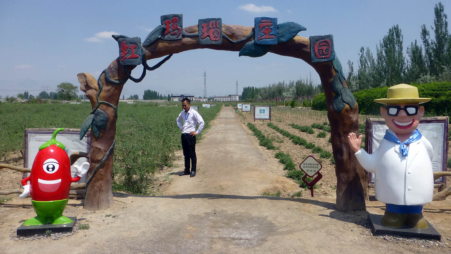 红玛瑙枸杞观光园