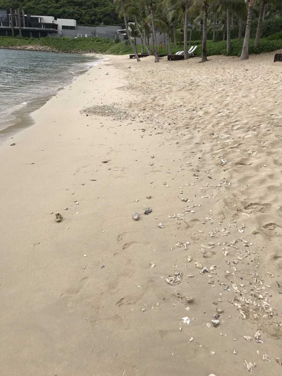 太阳湾海洋运动