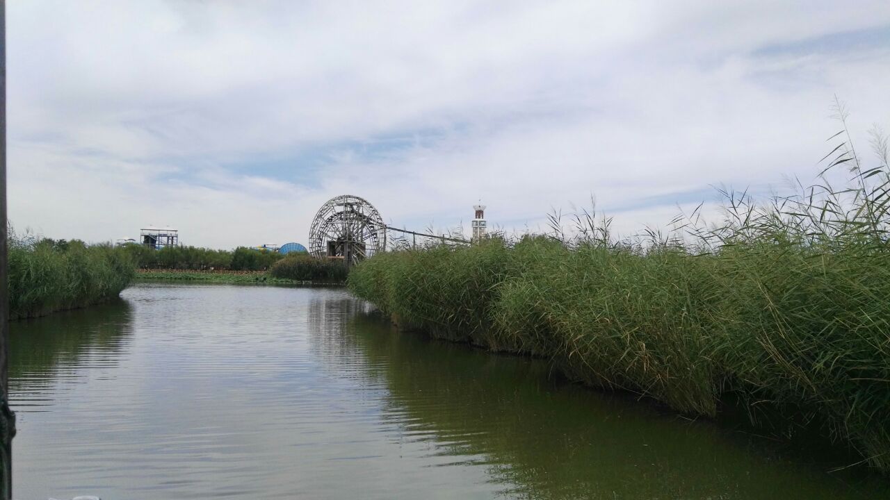 銀川鳴翠湖國家溼地公園攻略,銀川鳴翠湖國家溼地公園門票/遊玩攻略