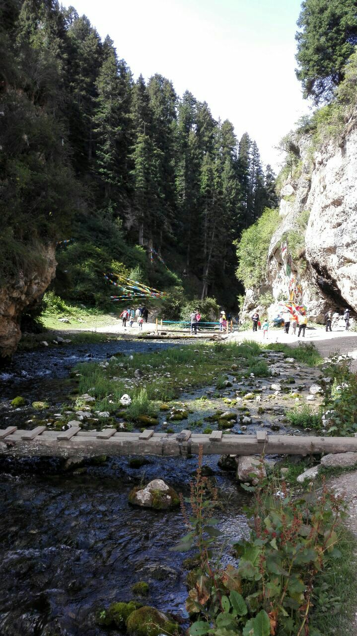 白龙江大峡谷图片