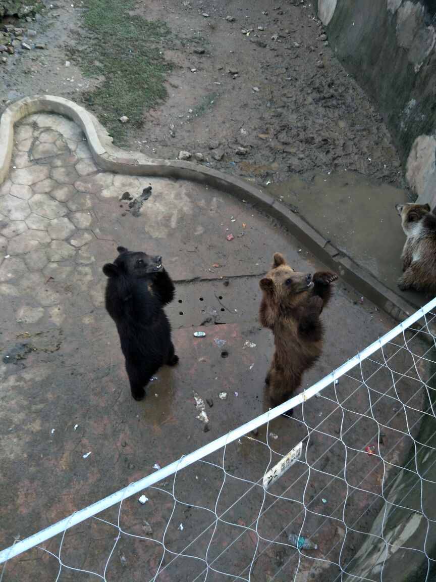 無錫動物園(太湖歡樂園)