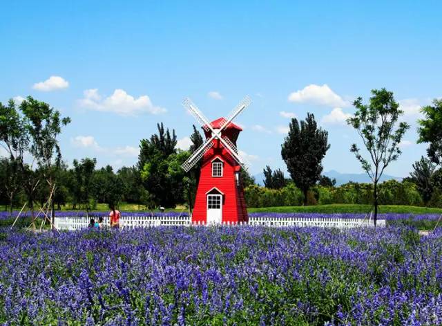 紫谷伊甸园purple valley eden