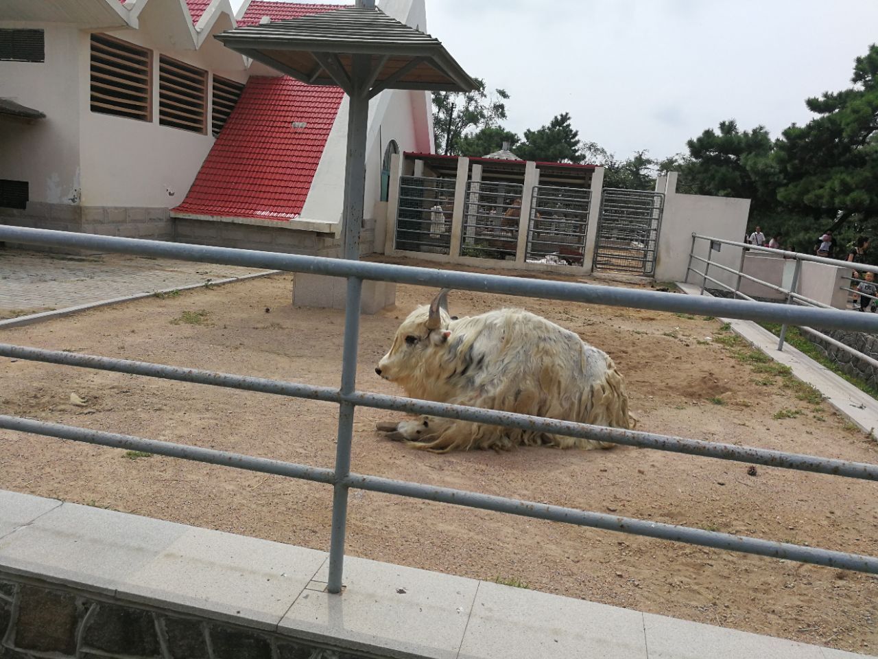 青島動物園