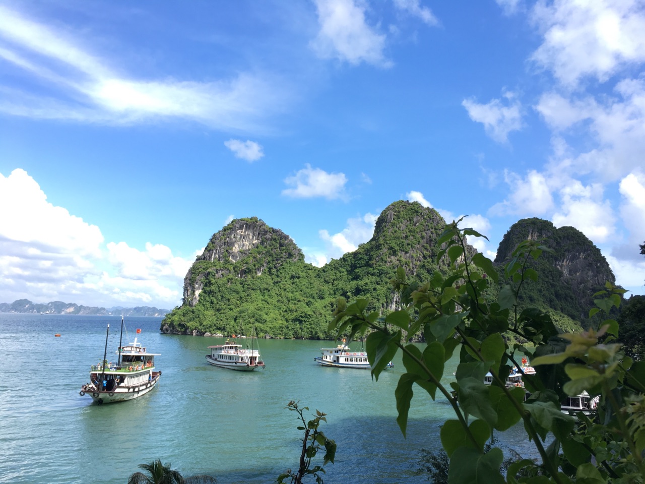 越南下龙湾一日游【the sinhtourist 河内出发】