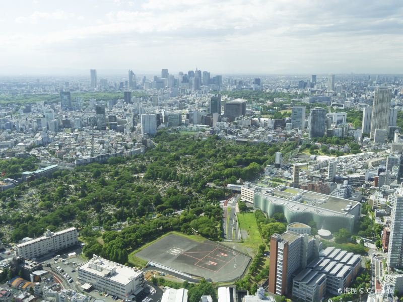 池袋景点图片