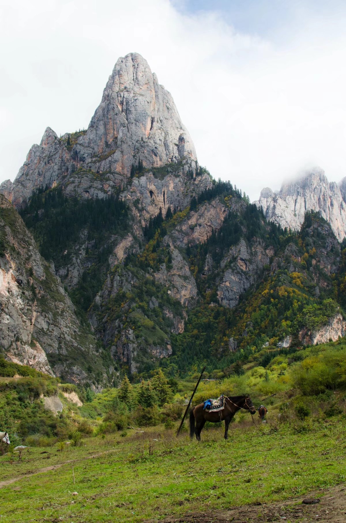 2019扎尕那_旅游攻略_门票_地址_游记点评,迭部旅游景点推荐 - 去哪儿