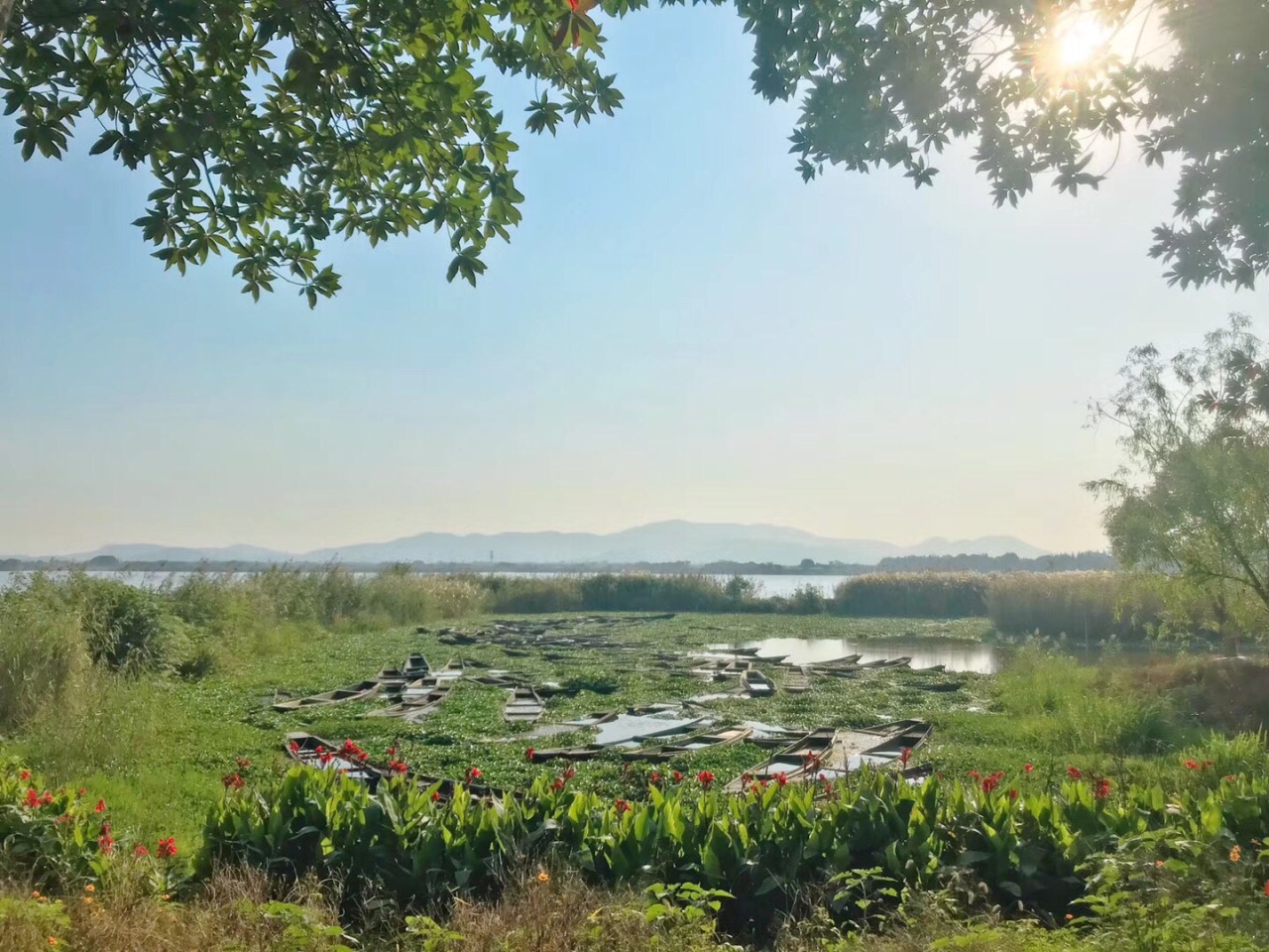 德清下渚湖溼地公園旅遊景點攻略圖