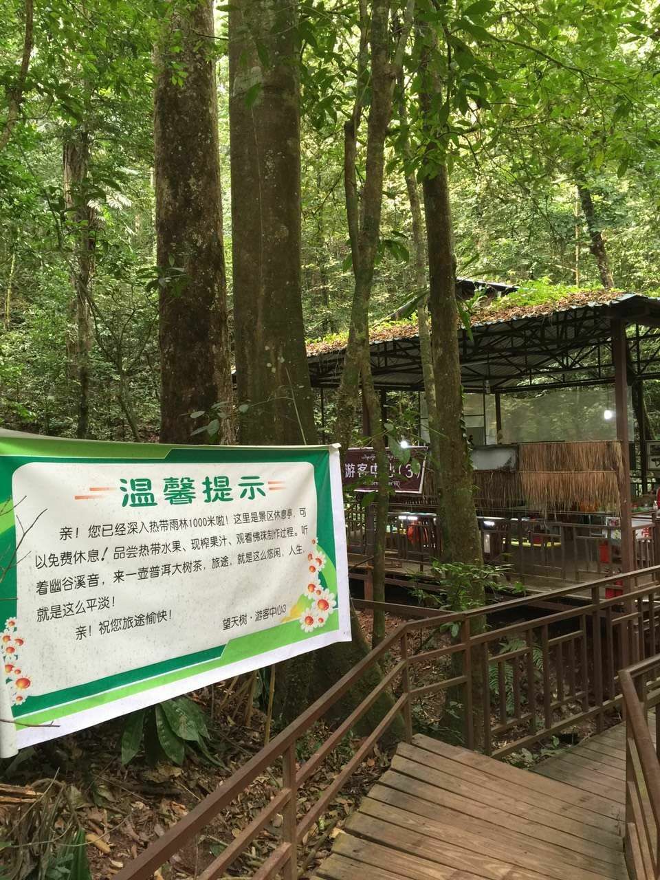 2019西双版纳热带雨林国家公园望天树景区_旅游攻略_门票_地址_游记