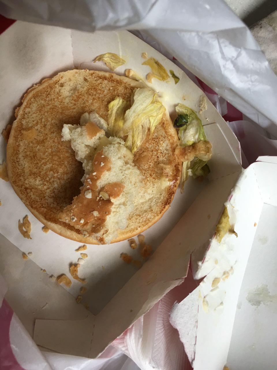 竟然吃了一只虫!