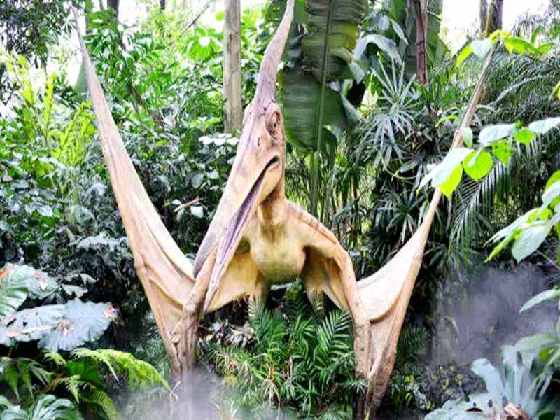 毛栗冲森林公园