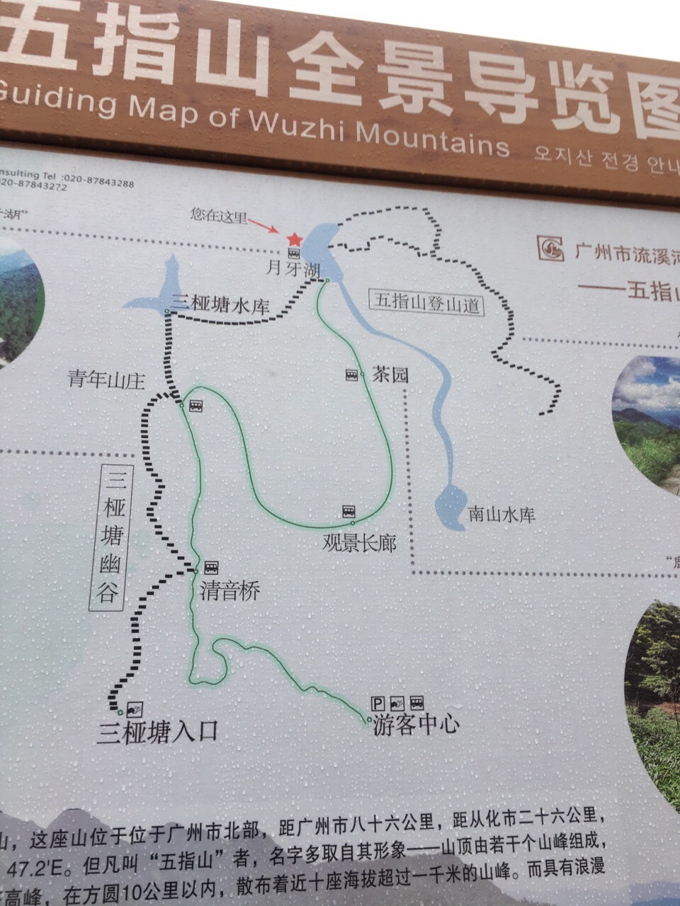 莽山五指峰景区地图图片