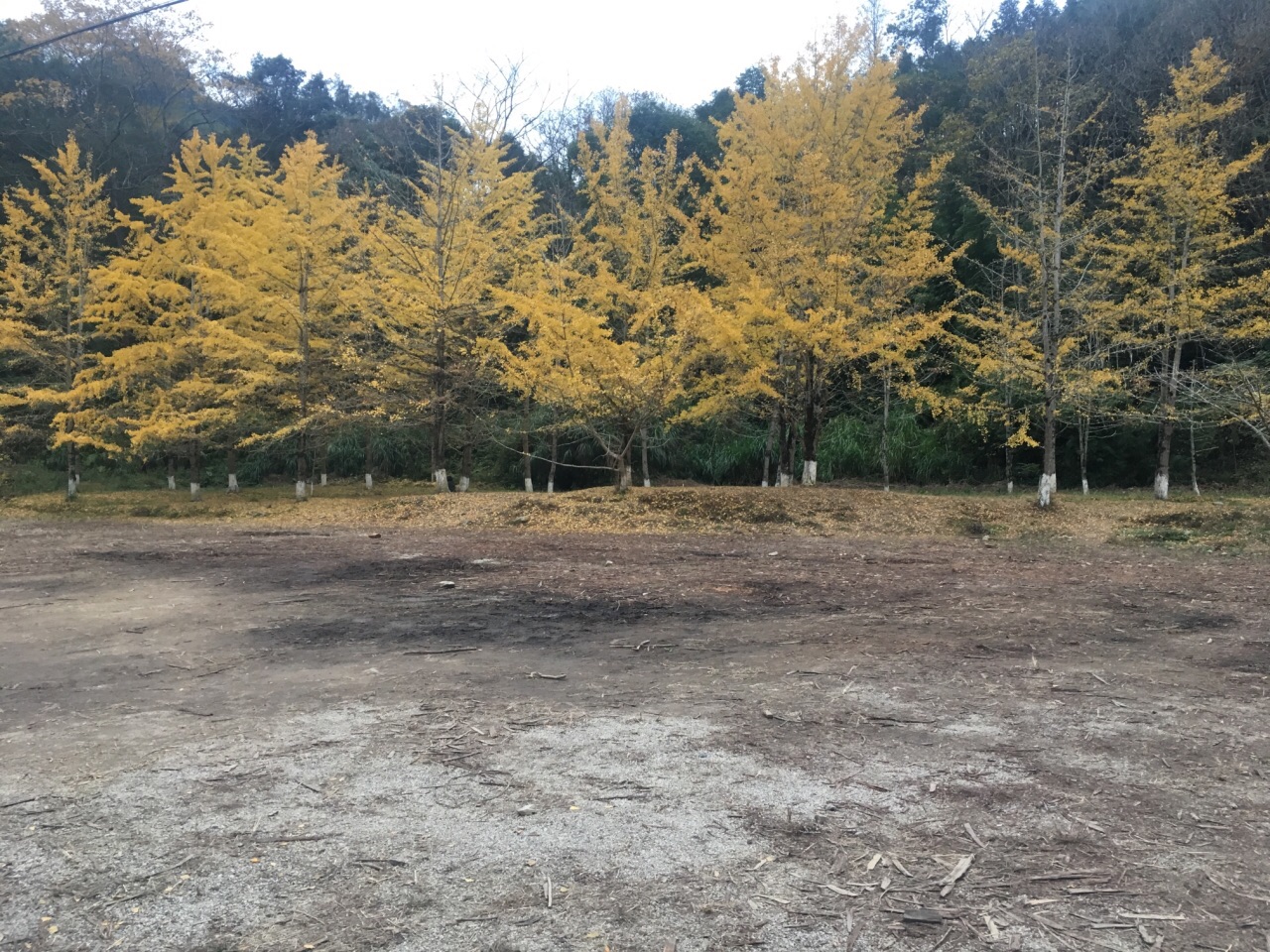 【携程攻略】南雄帽子峰林场好玩吗,南雄帽子峰林场景点怎么样_点评