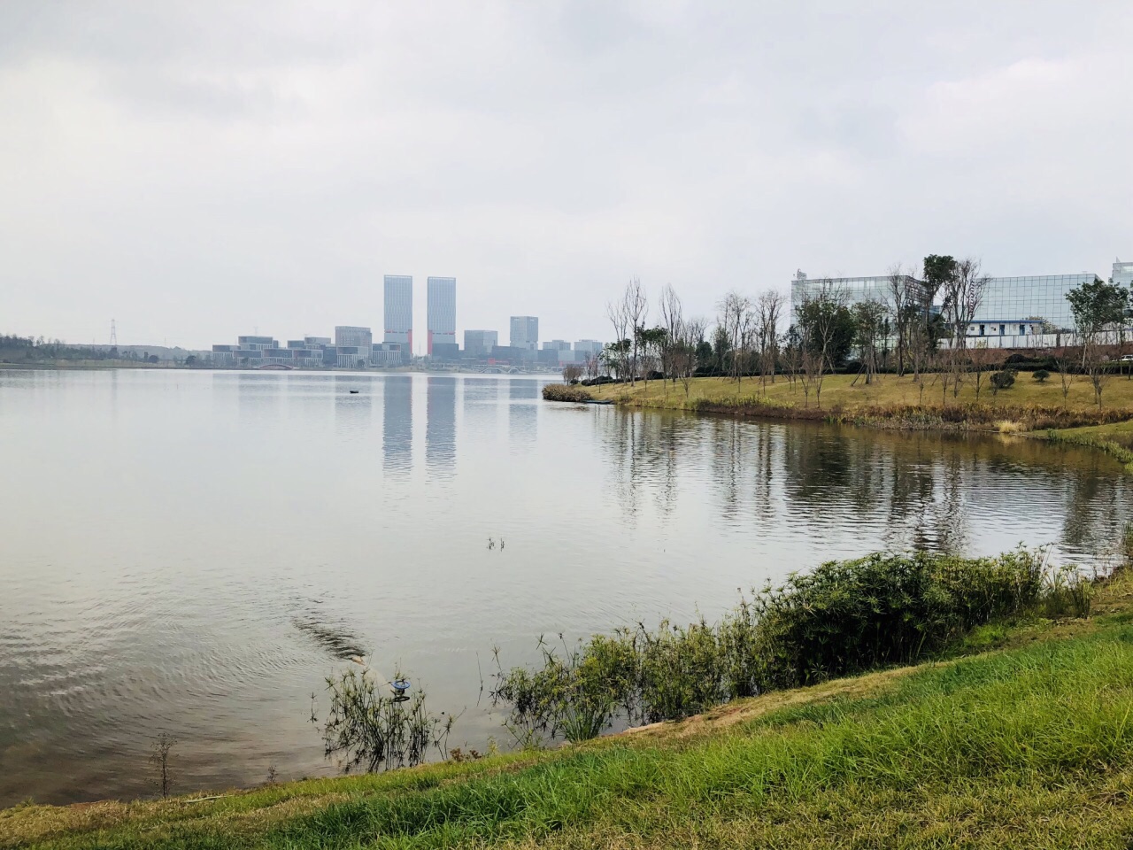 成都興隆湖溼地公園好玩嗎,成都興隆湖溼地公園景點怎麼樣_點評_評價