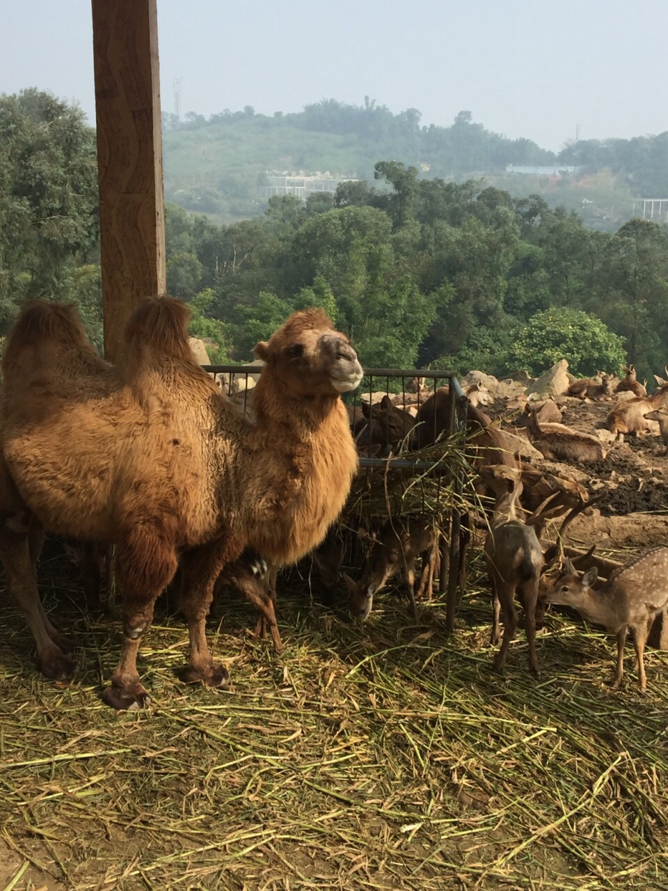 乐和乐都主题乐园