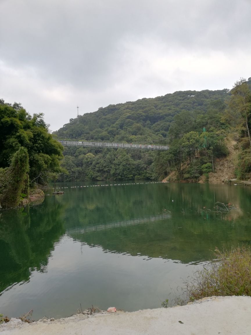 東源新豐江國家森林公園桂山風景區景點怎麼樣_點評_評價【攜程攻略】