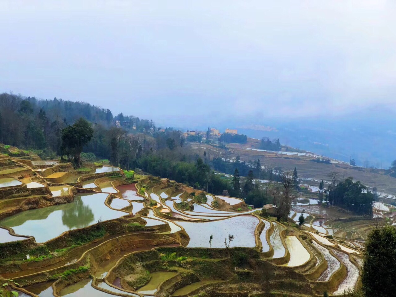 2022坝达景区游玩攻略,坝达梯田,像一块绚丽的调色. 【去哪儿攻略】