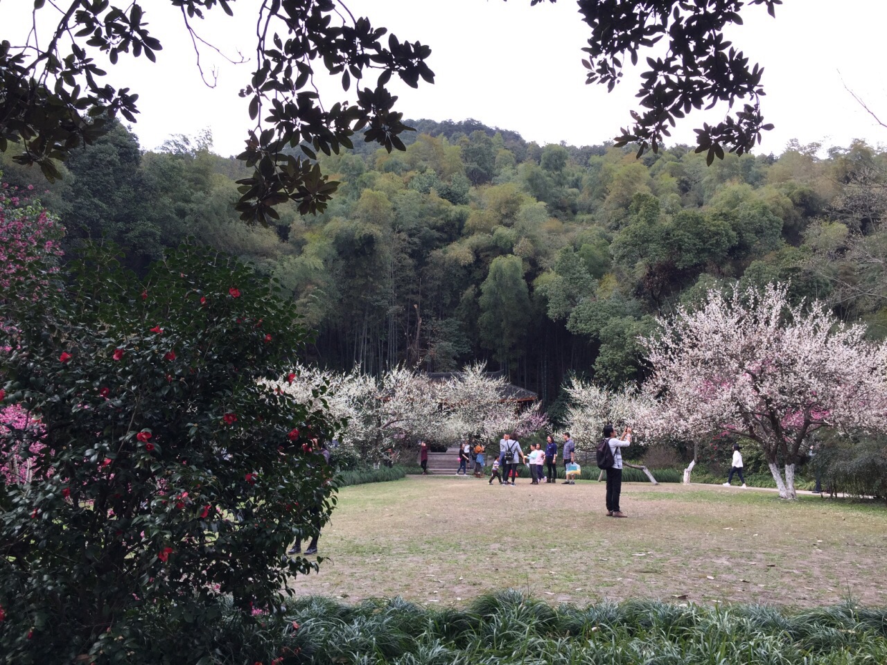 杭州植物園旅遊景點攻略圖