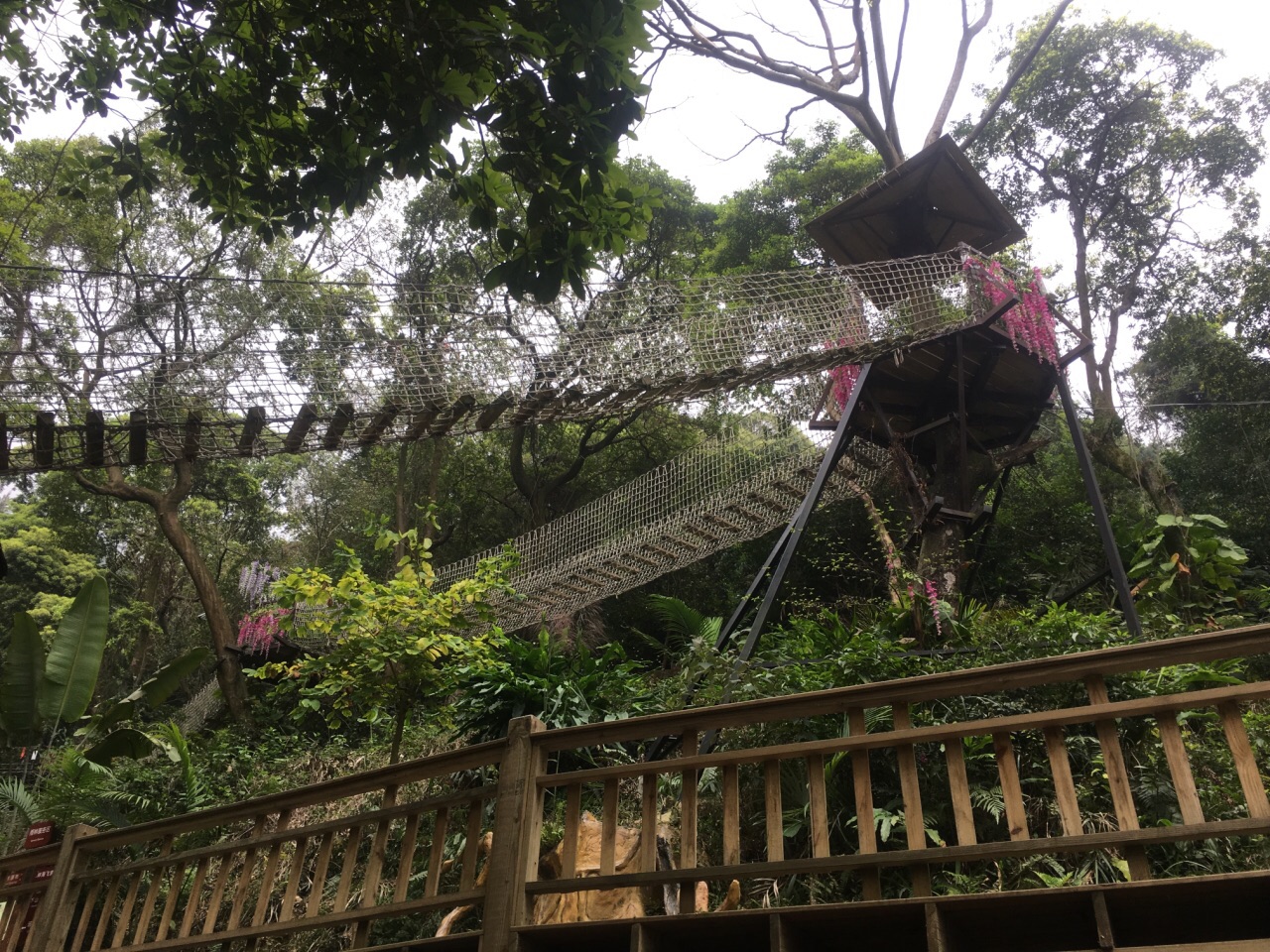 【携程攻略】佛山南丹山森林王国景点,山上的几个大型项目很好玩,够
