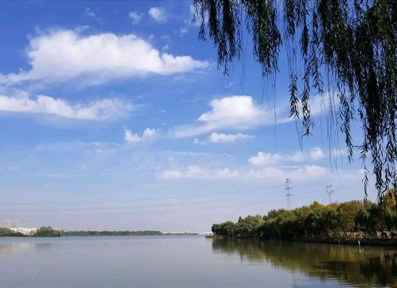 2019金银湖湿地公园-旅游攻略-门票-地址-问答-游记点评，武汉旅游旅游景点推荐-去哪儿攻略