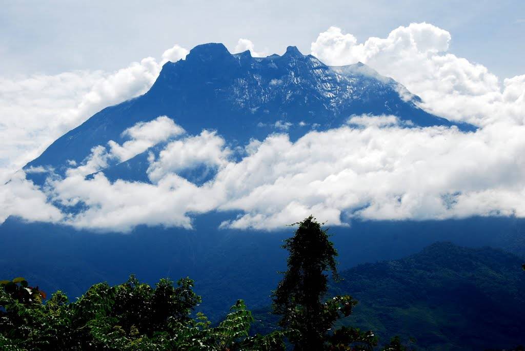 2019神山国家公园-旅游攻略-门票-地址-问答-游记点评,兰脑旅游旅游景