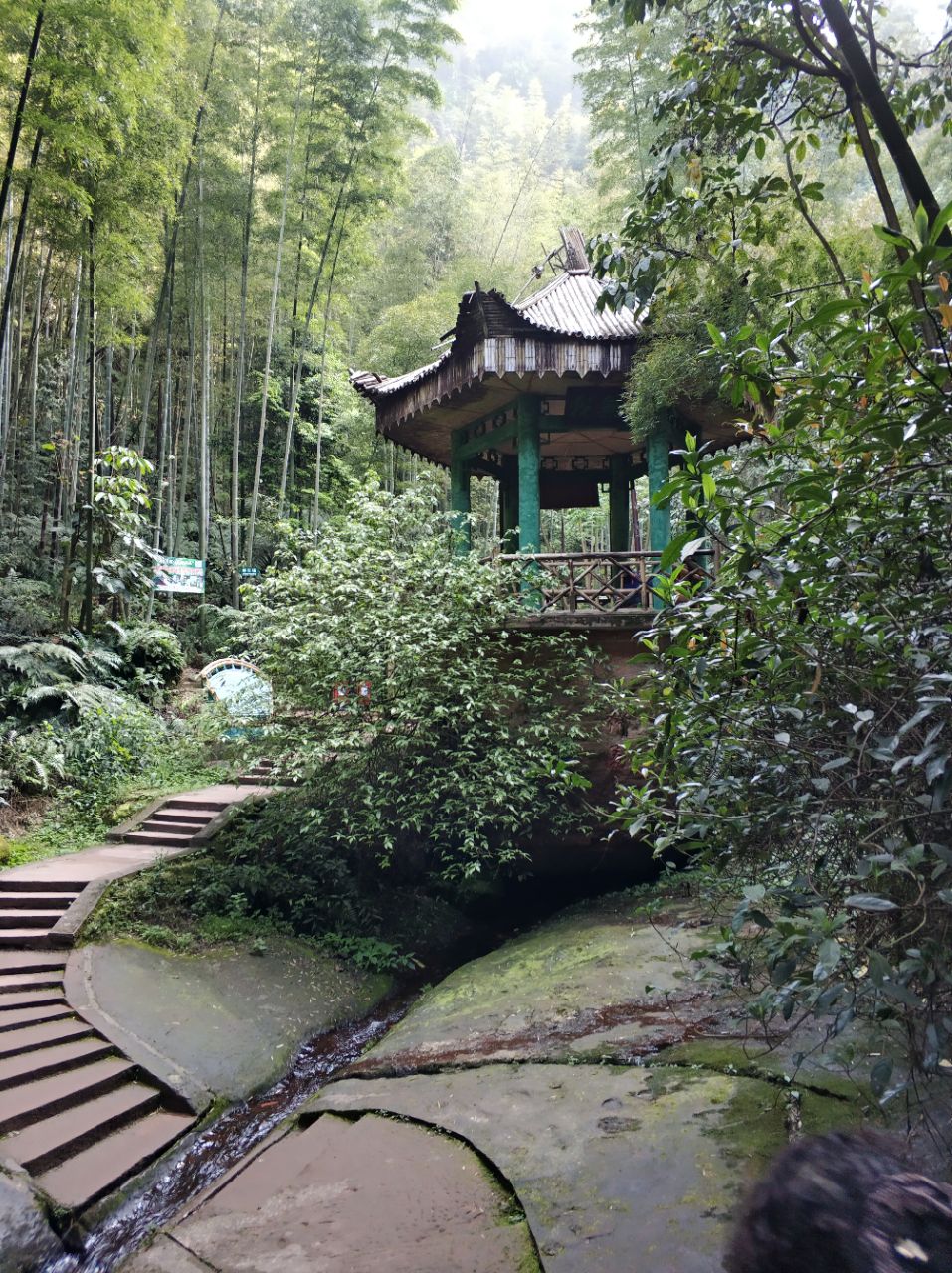 【攜程攻略】長寧蜀南竹海景點,四川宜賓長寧縣附近的蜀南竹海,景區