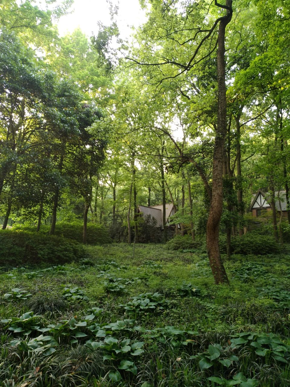 屏山邓族文物馆暨文物径访客中心