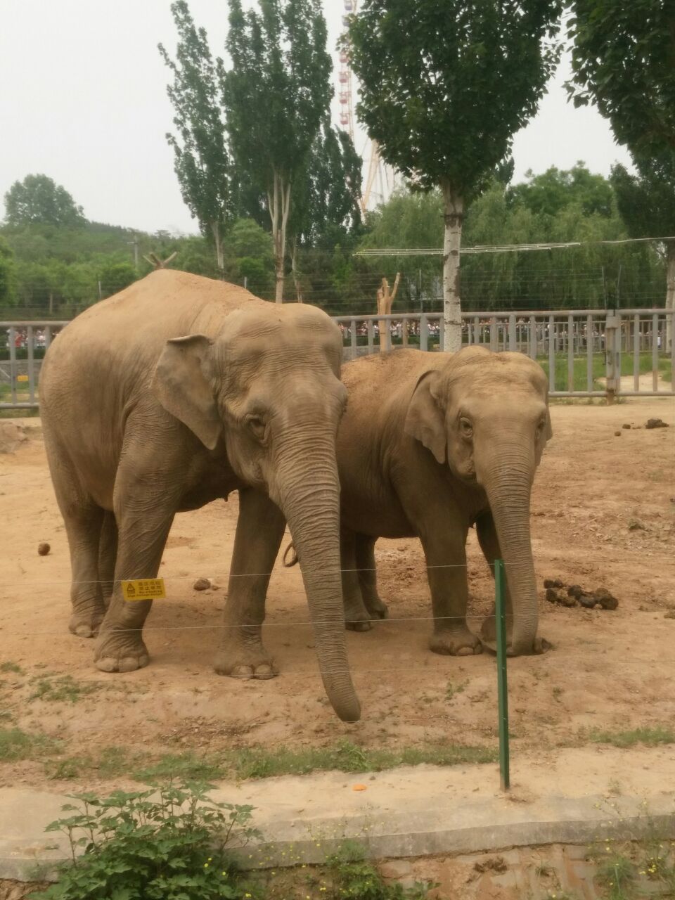 石家莊市動物園