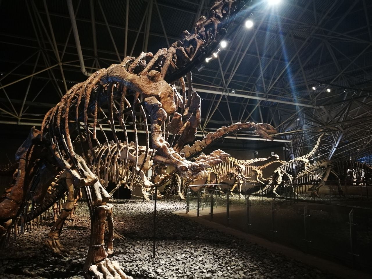 中国最大的恐龙博物馆图片