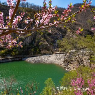 桃花峪