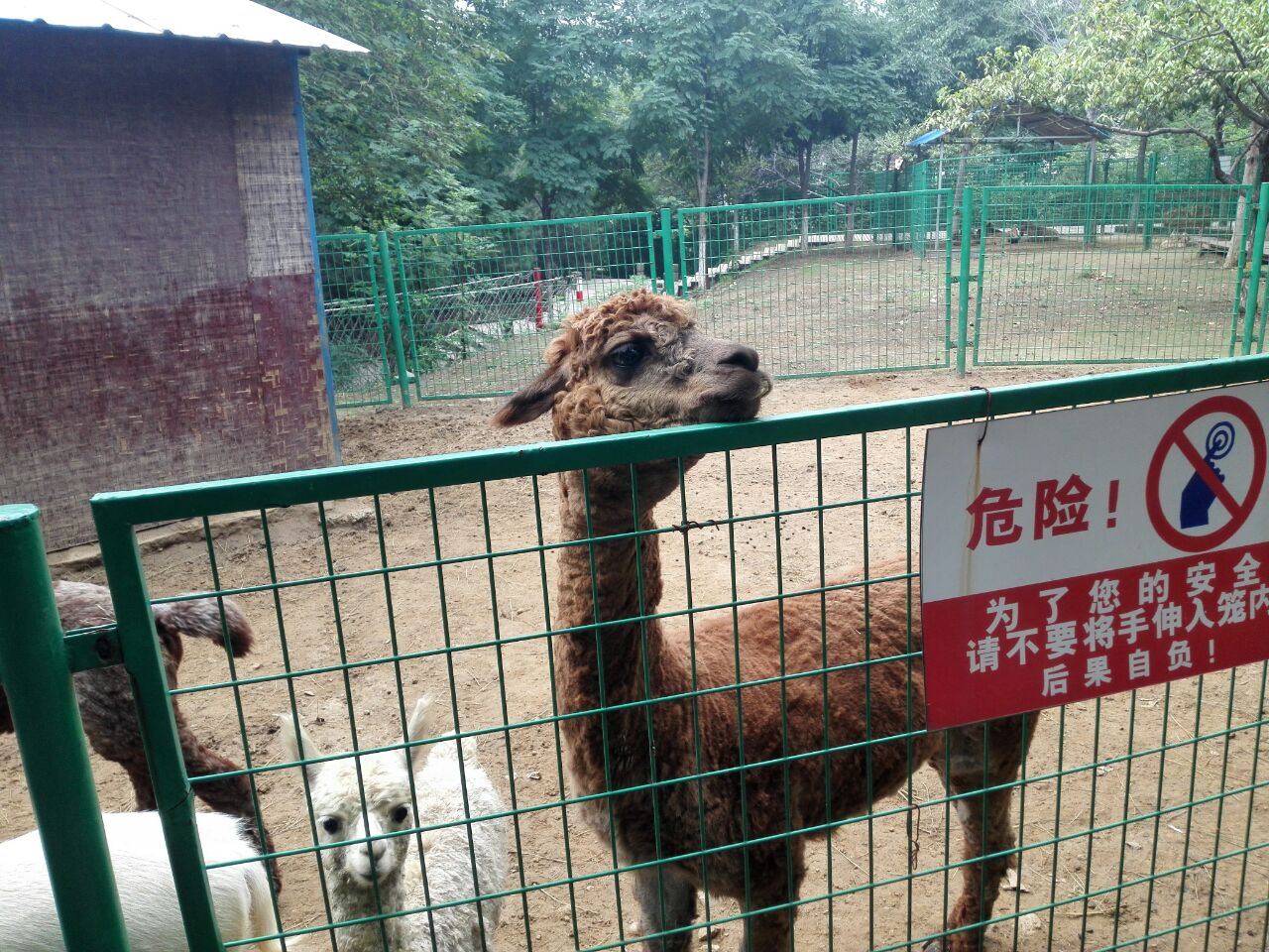 石家莊市動物園