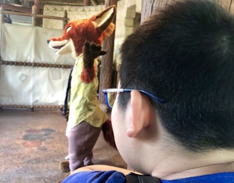 2019探险岛门票,上海迪士尼度假区探险岛游玩