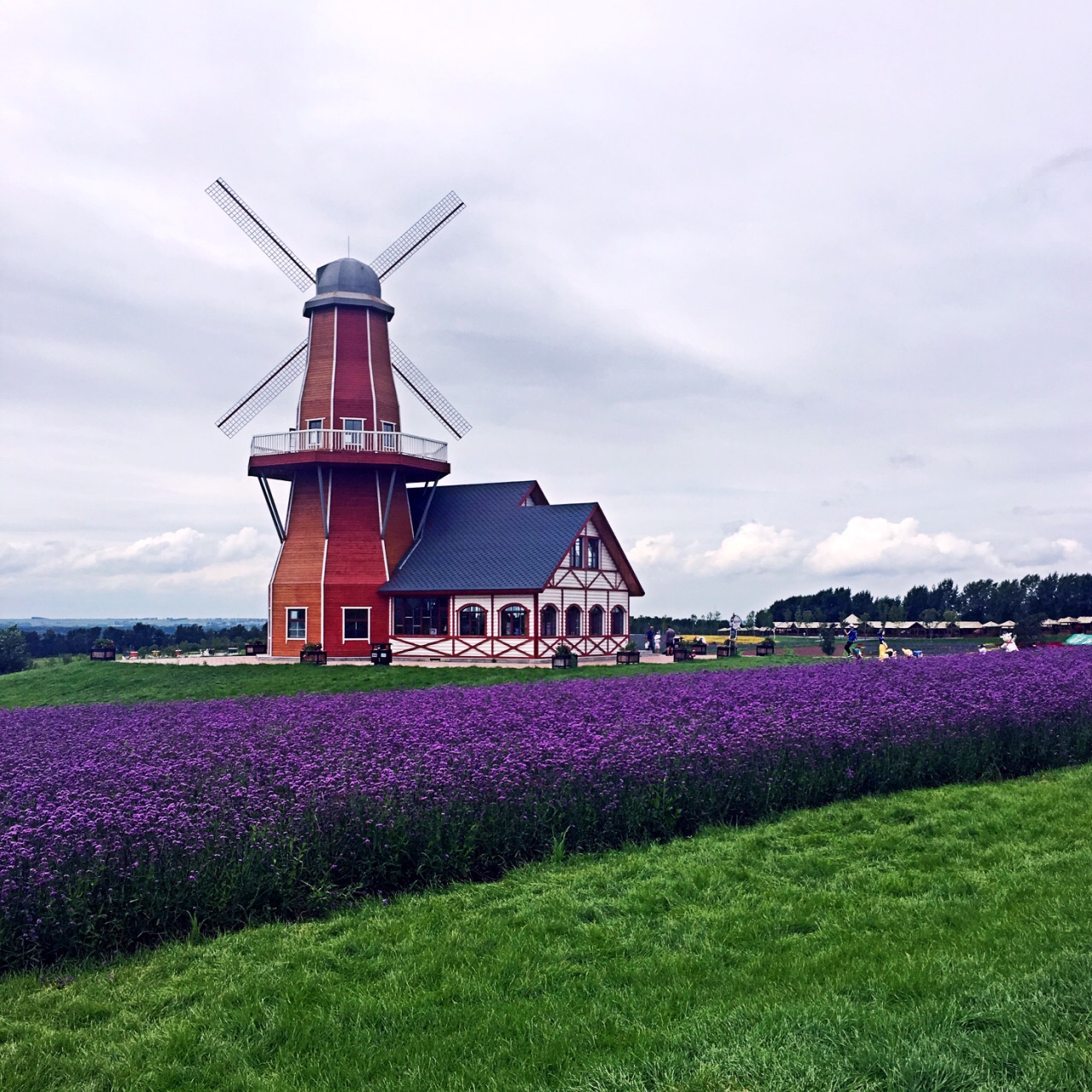 普罗旺斯薰衣草庄园