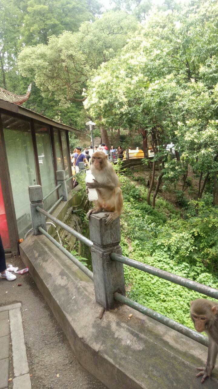 黔靈山公園旅遊景點攻略圖