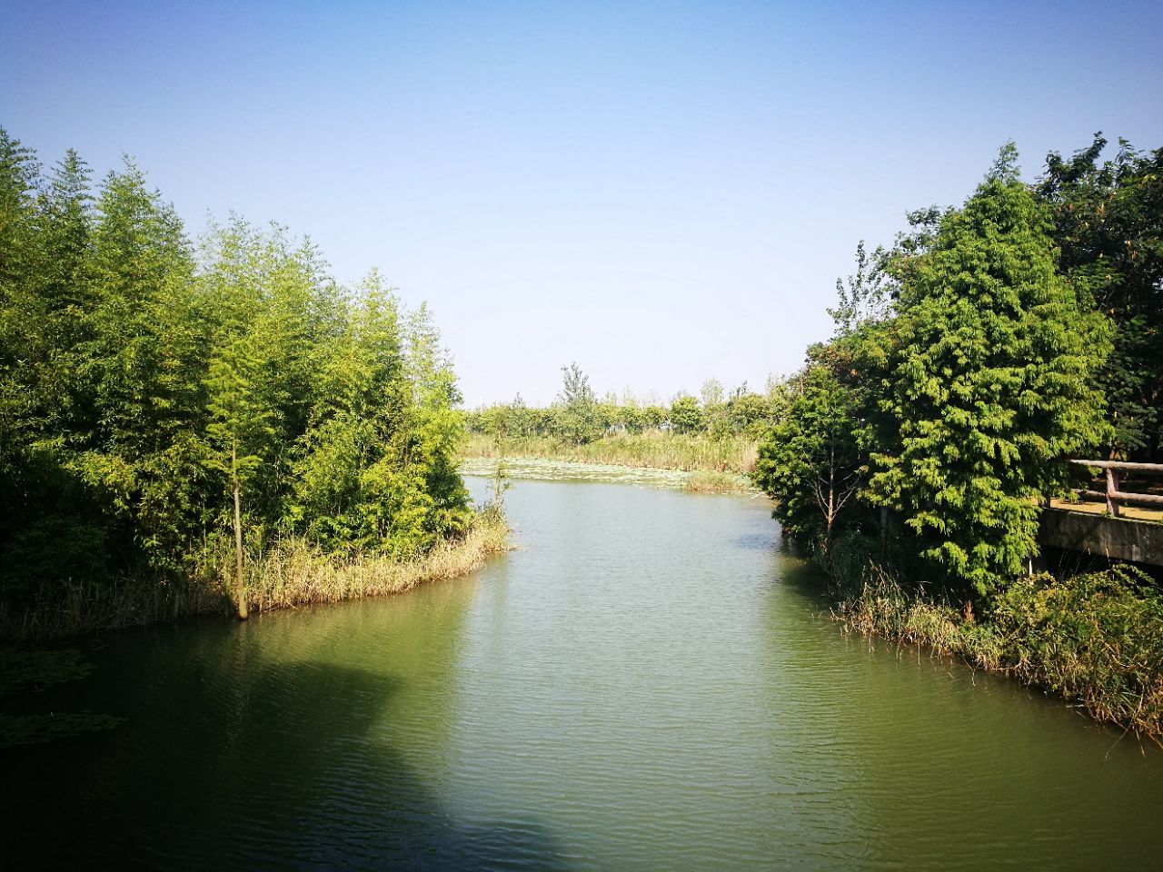 泗洪洪澤湖溼地旅遊景點攻略圖