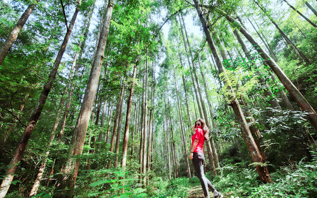 16个大马2天1夜去处 国内短假行程这样玩