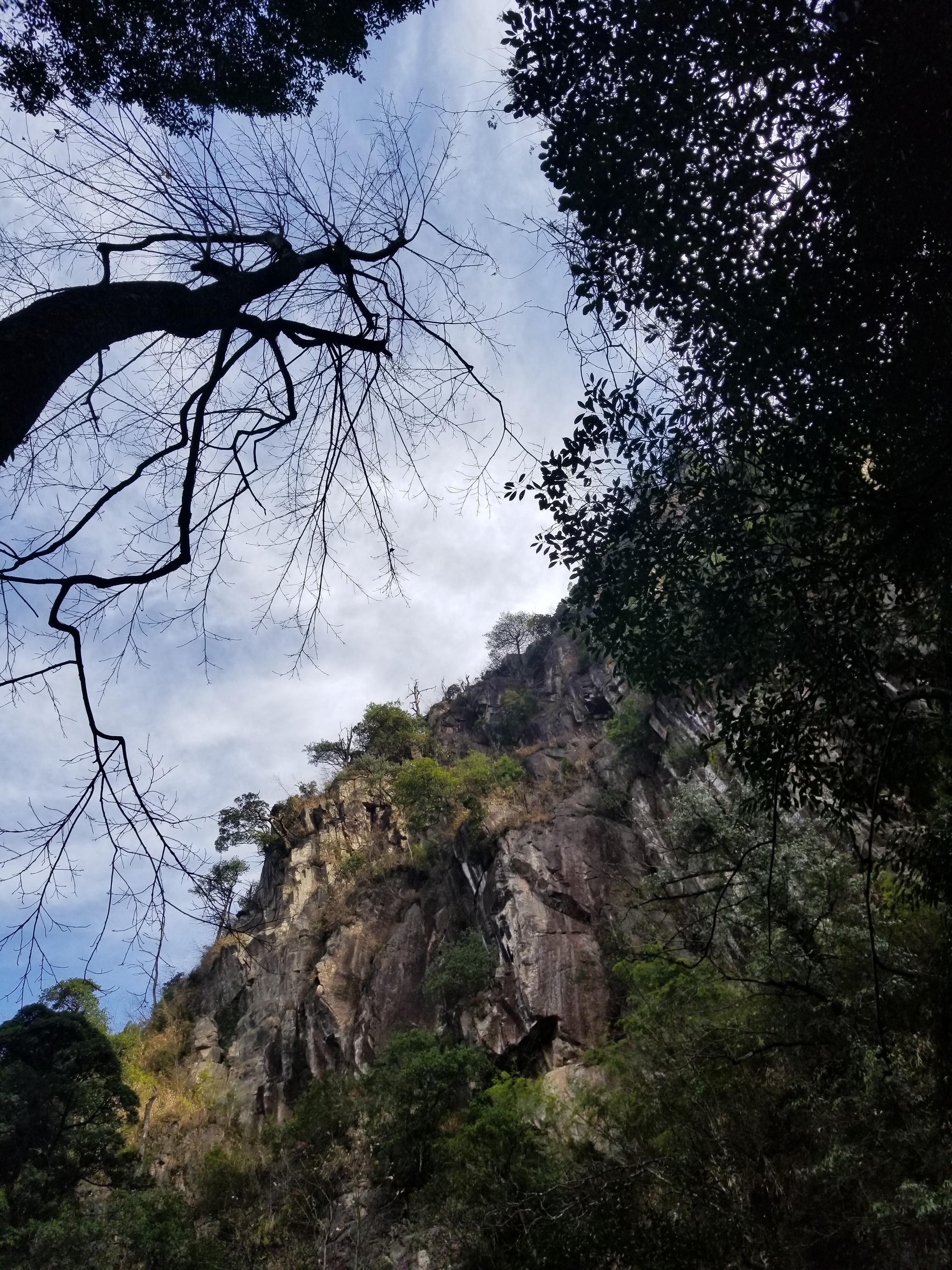 莽山國家森林公園旅遊景點攻略圖