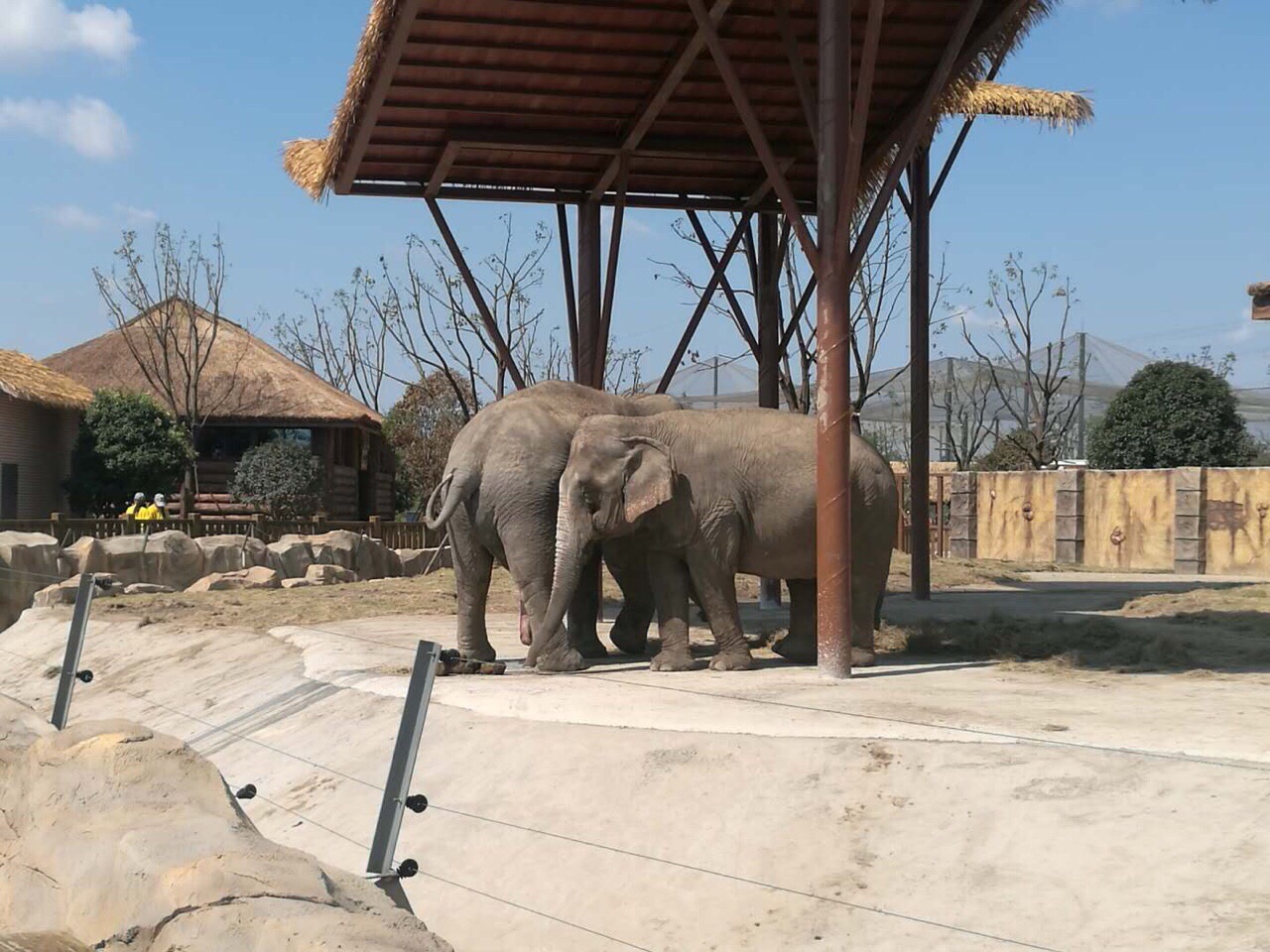 南通森林野生動物園