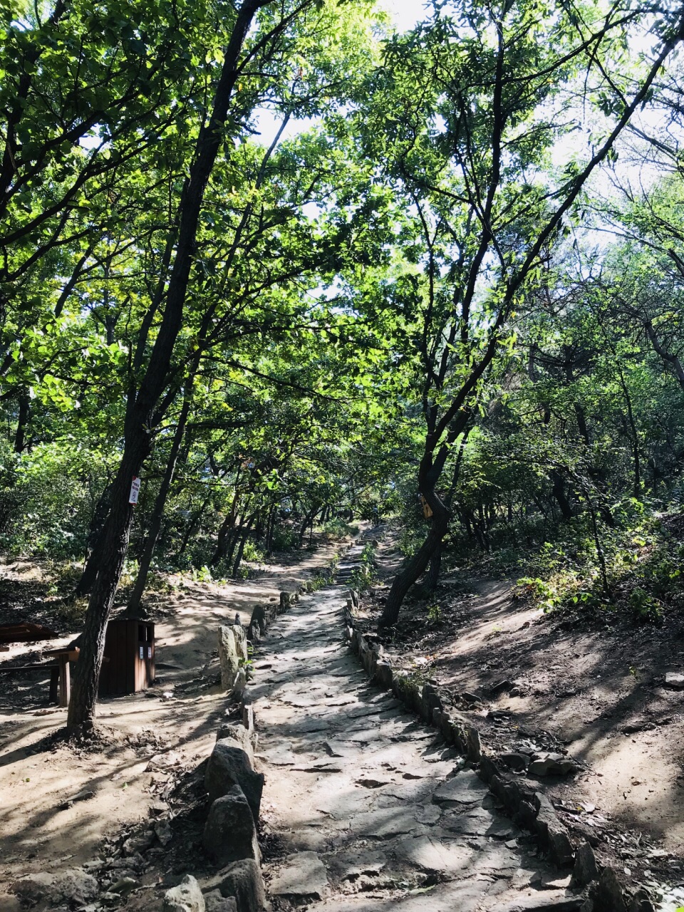 小黑山森林公園