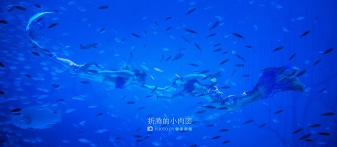 海洋公园上海海昌隐形项目 100h0y000000mgq232CC4_R_671_10000_Q90.jpg?proc=autoorient