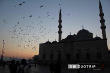 清晨的伊斯坦布尔，天空依然幽暗有鸽子在飞翔。